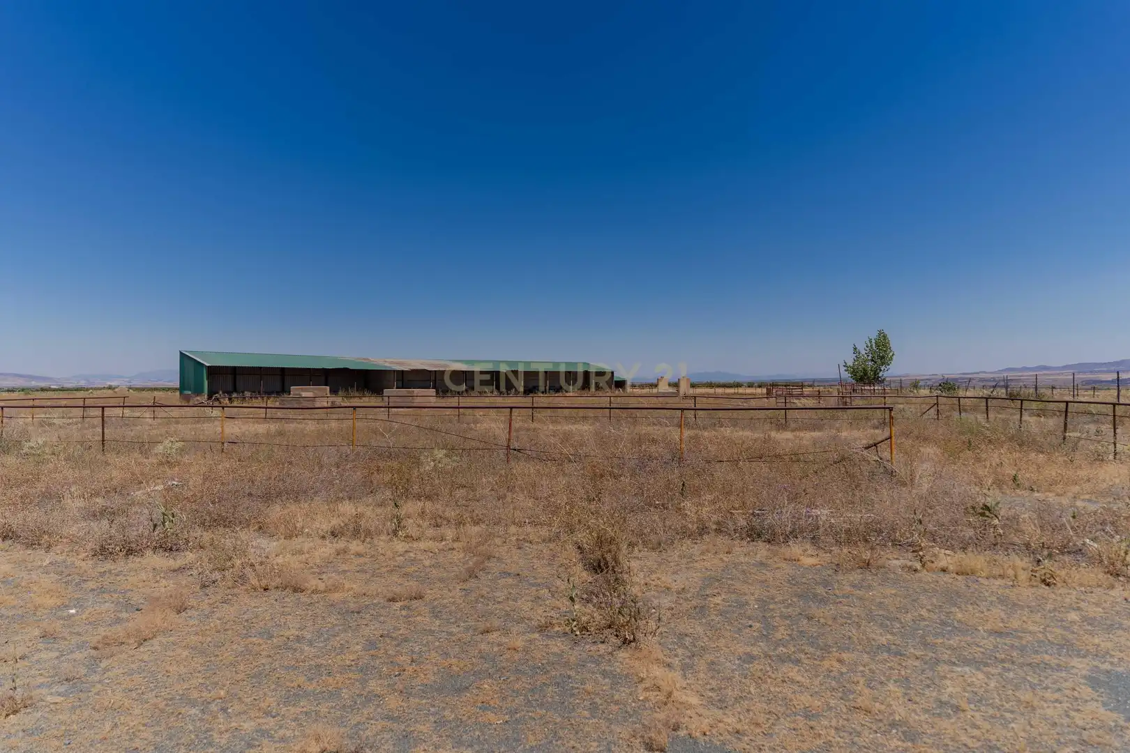 Terreno en venta en Cogollos de Guadix