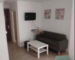 Living room of Flat to rent in  Granada Capital  with Heating, Terrace and Furnished