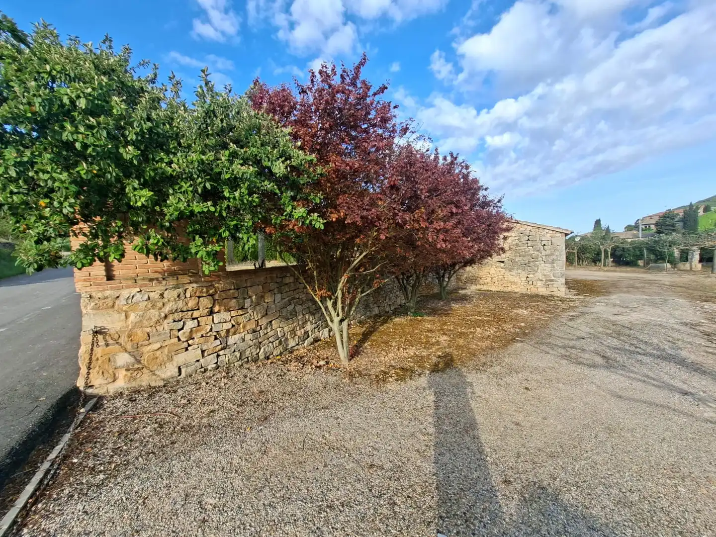 Terreno rústico en venta en Vallbona de Les Monges, imagen 43