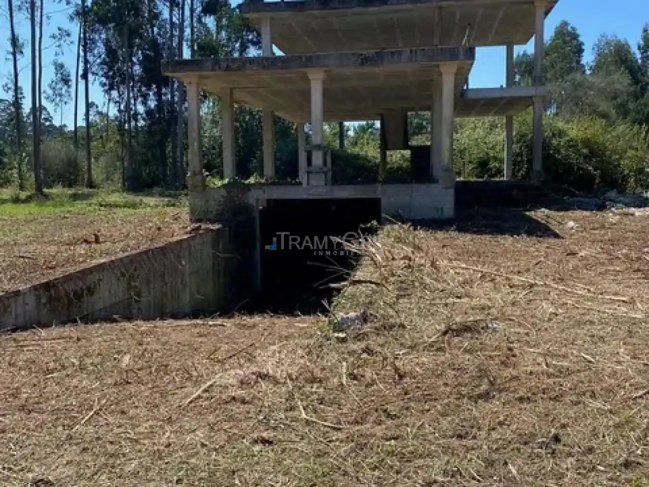Xalet amb jardí en venda a AVda. de Brasil