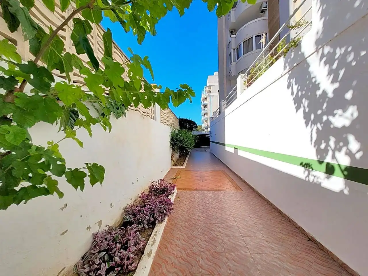 Apartament de lloguer a Camp De Morvedre, 49, Playa de Gandia