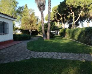 Jardí de Casa o xalet en venda en Chiclana de la Frontera amb Piscina