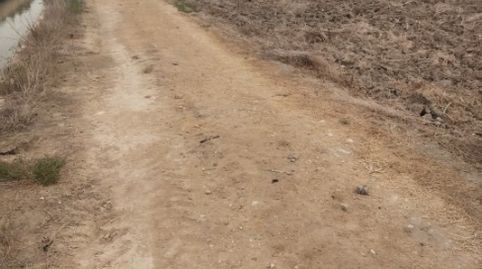 Foto 2 de Terreno en venta en Avinguda de L'alegría, 46, La Marina, Elche / Elx