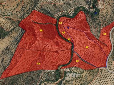 Terreno rústico en venta en Algarinejo