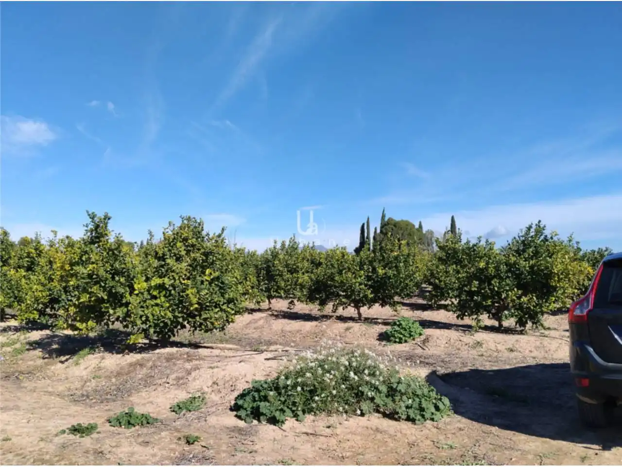 Terreny rústic en venda a Camino Huerta de Abajo, imagen 12