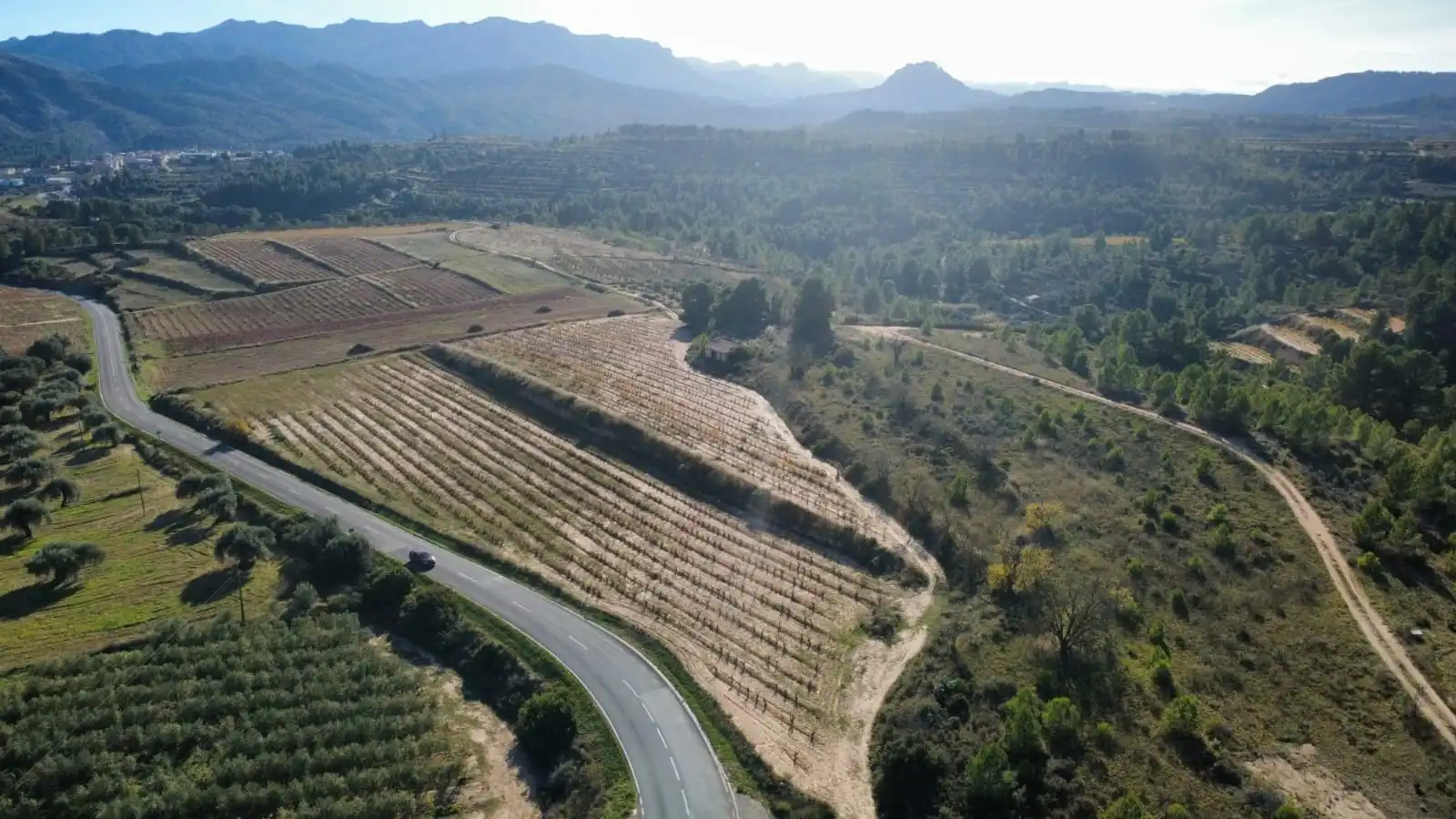 Residencial en venda en Bot