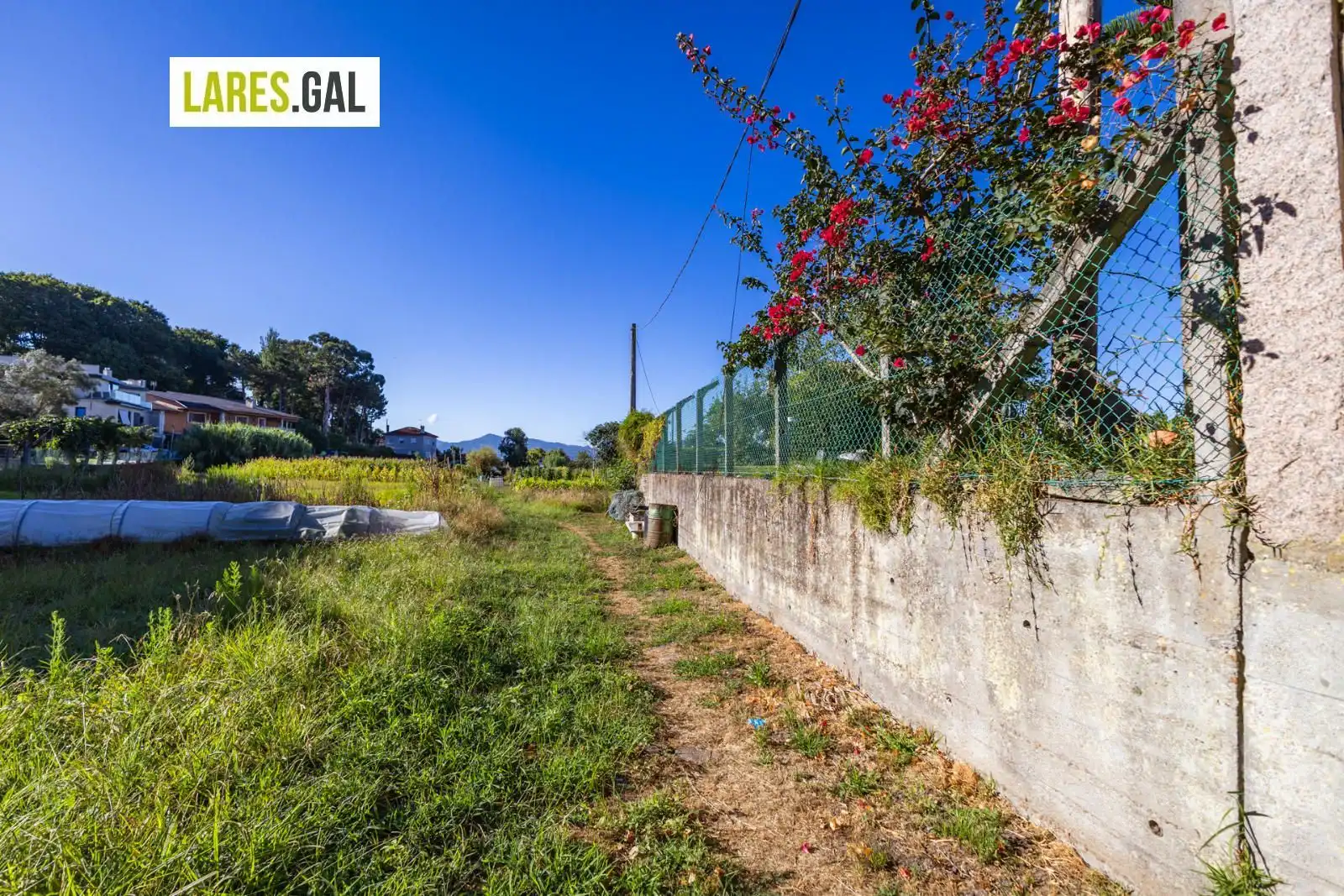 Terreno rustico in vendita a Ourense, imagen 9