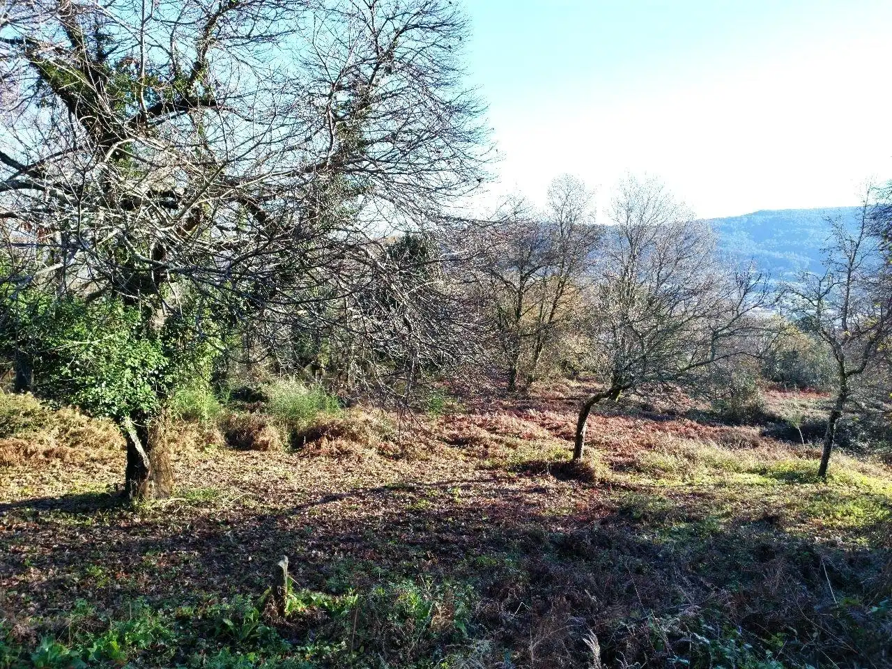 Terreno residenziale in vendita a Marín, imagen 6