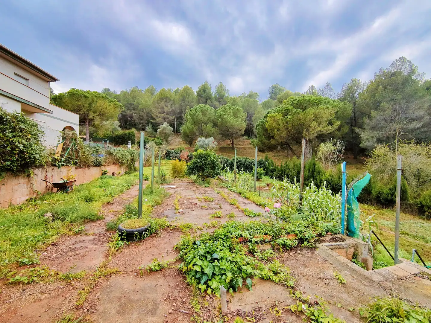 Residential land for sale in Carrer Tibidabo 5, imagen 8