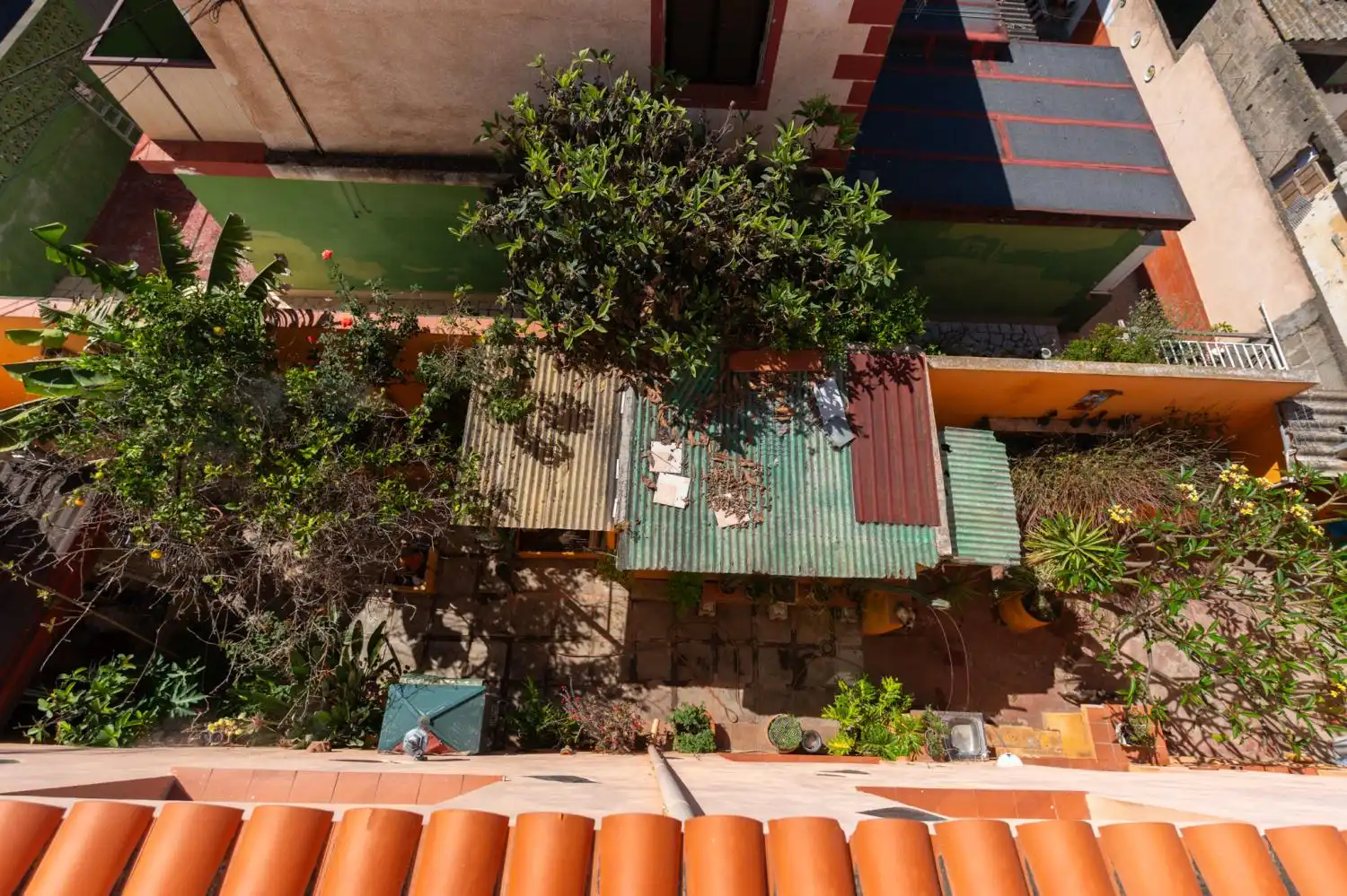 Terrasse von Haus oder Chalet zum Verkauf in San Cristóbal de la Laguna mit Abstellraum