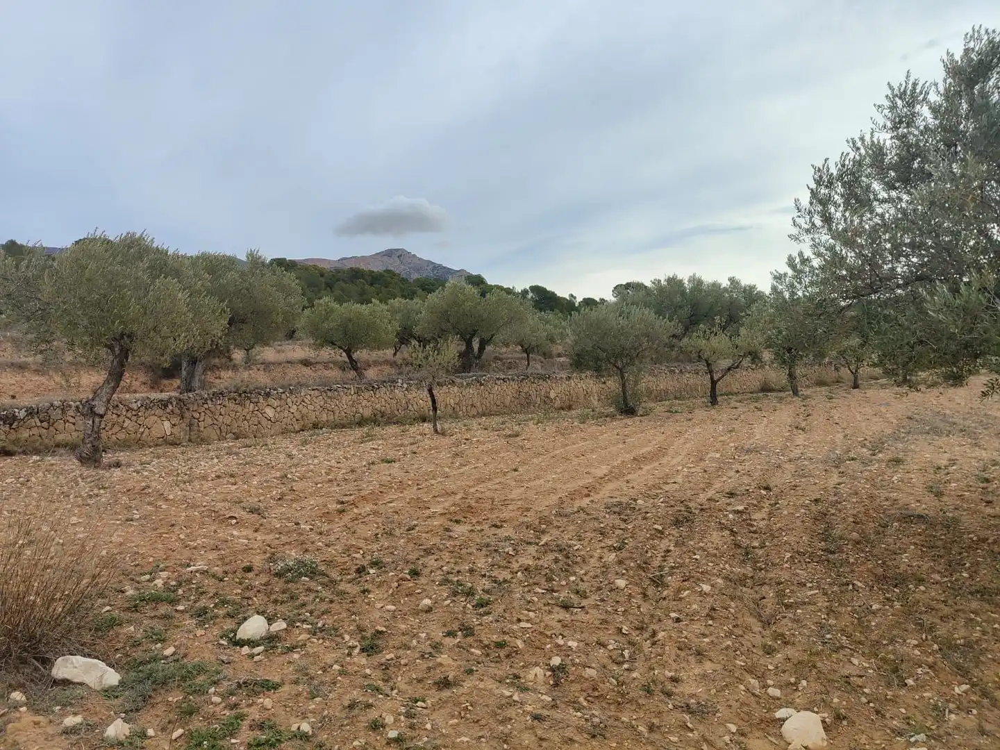 Villa avec piscine à vendre à Tibi, imagen 6