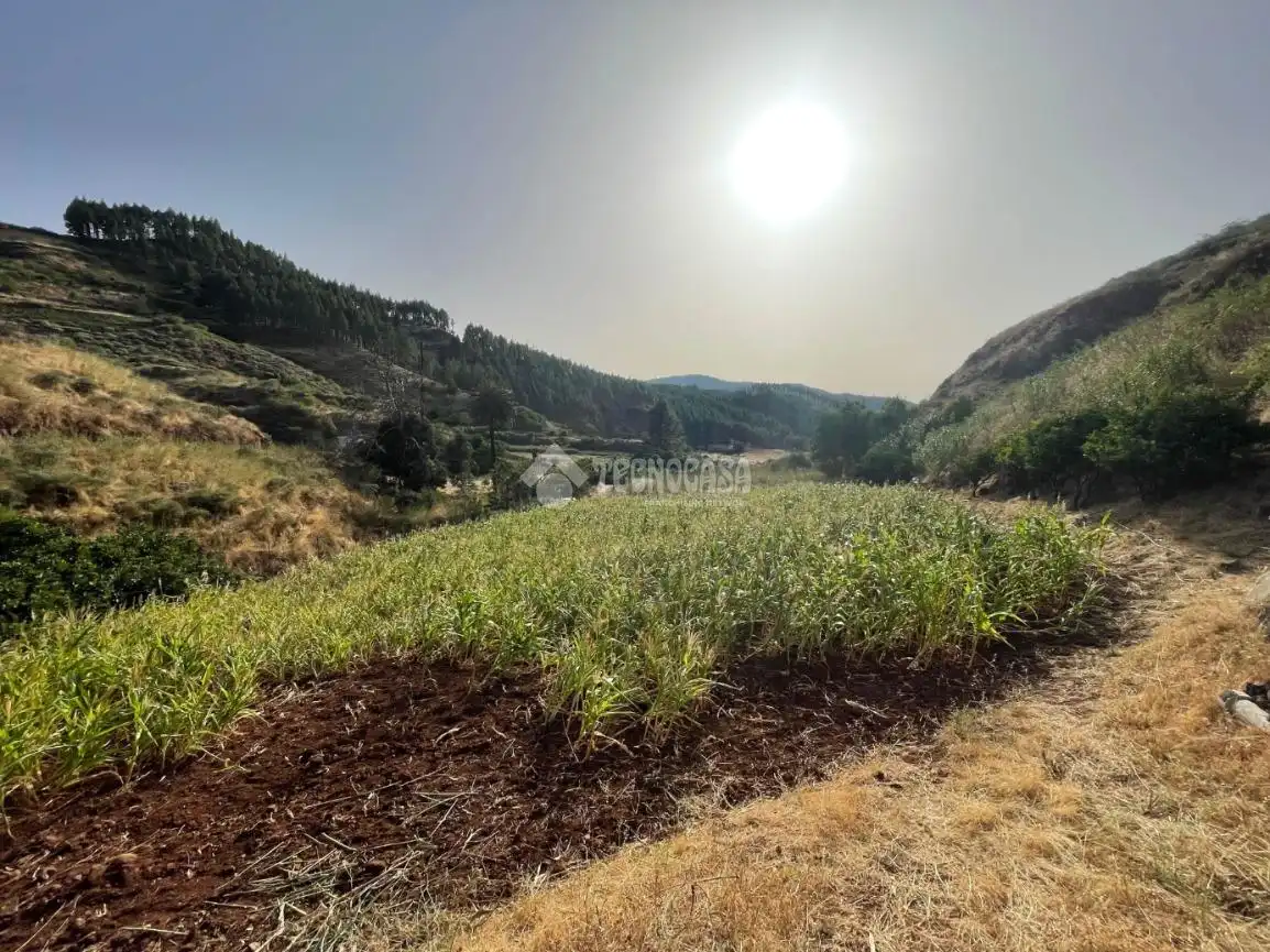 Terreno en venta en Gáldar