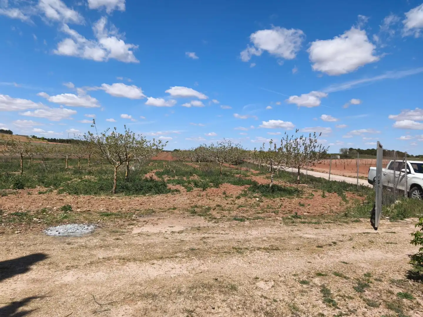 Finca rústica en venta en Alcázar de San Juan