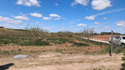 Foto 5 de Finca rústica en venda a Alcázar de San Juan, Ciudad Real