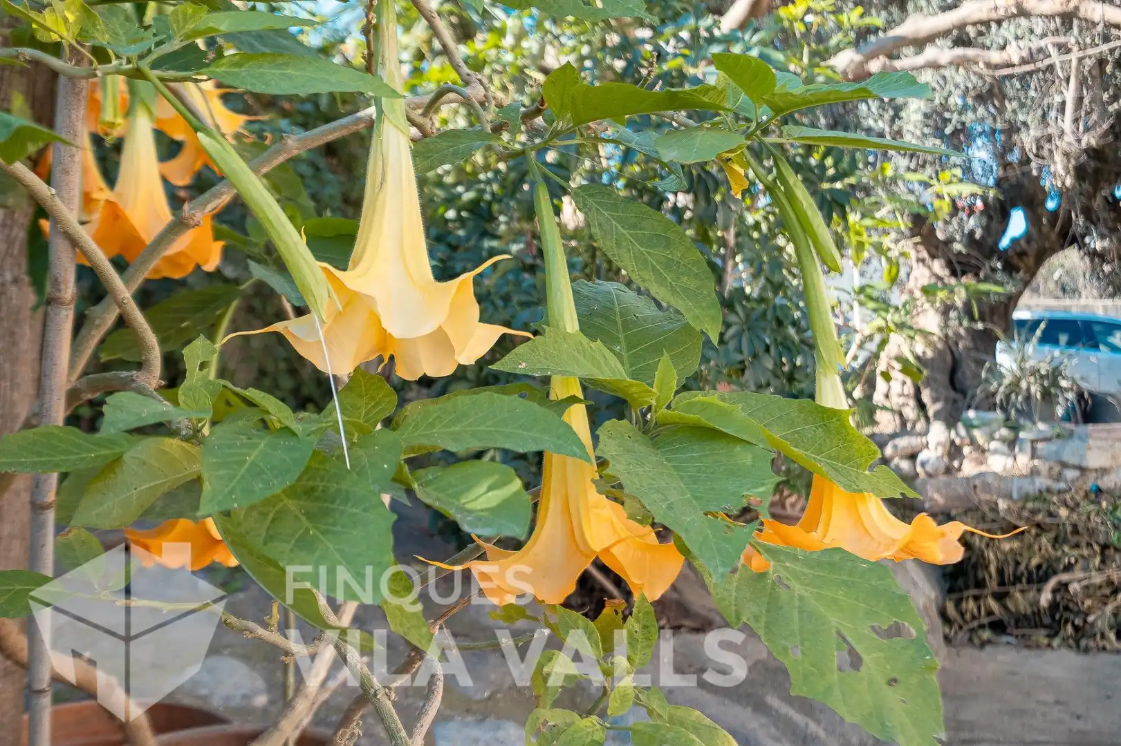 Jardí de Finca rústica en venda en Sentmenat