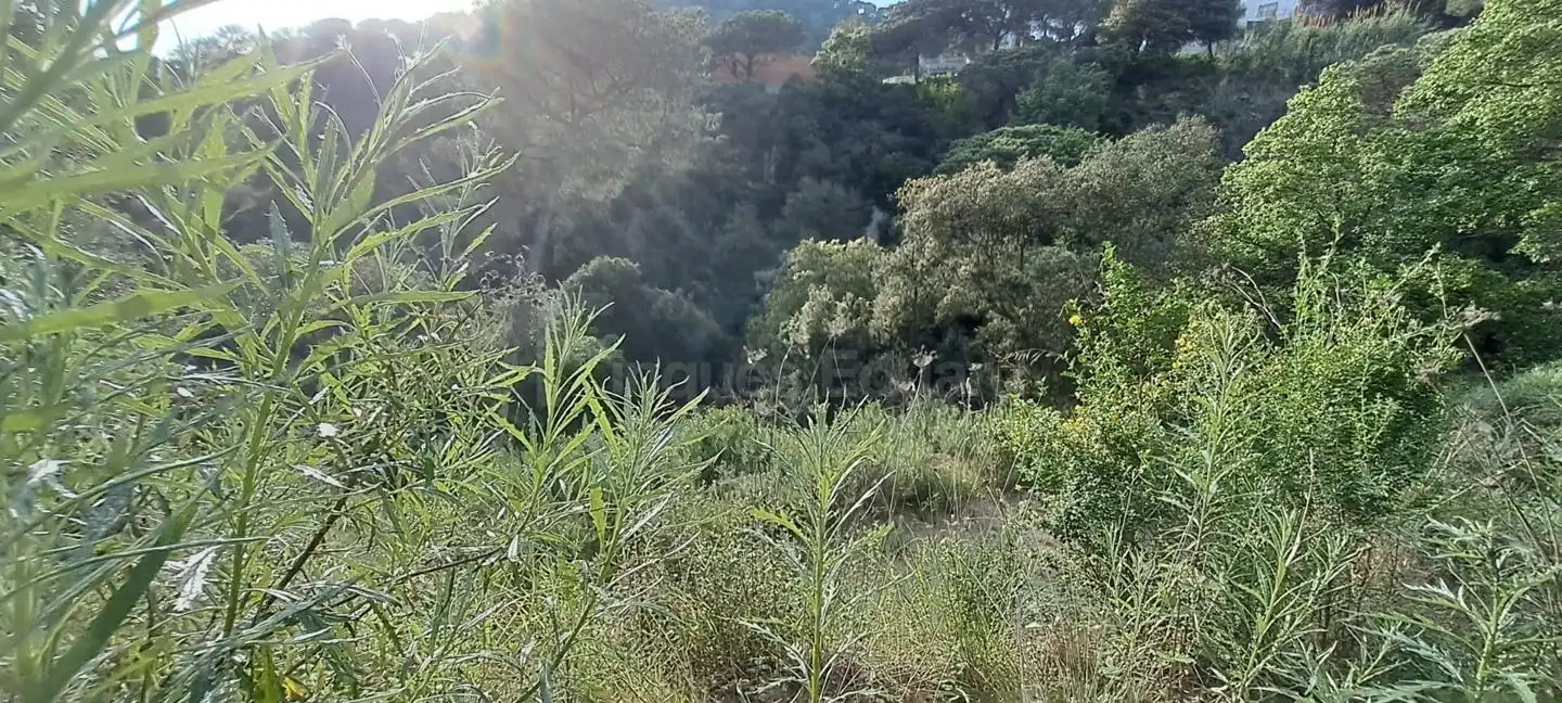 Lands and plots for sale in Can Massuet del Far, imagen 5