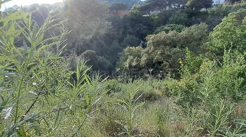 Photo 5 of Residential for sale in Can Massuet del Far, Dosrius