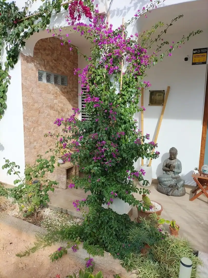 Jardí de Casa o xalet en venda en Santa Eulària des Riu amb Aire condicionat, Calefacció i Piscina