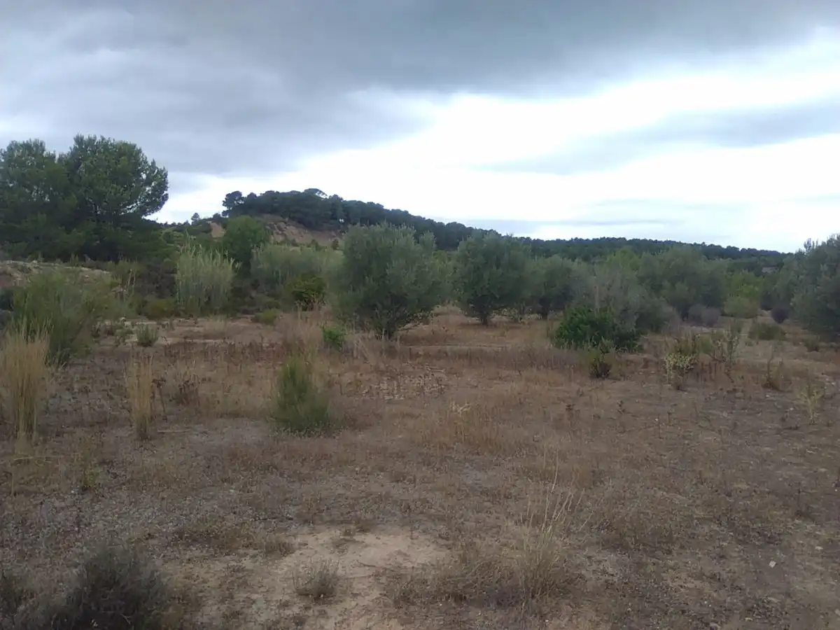 Casa rústica en venta en Algímia de Alfara, imagen 5