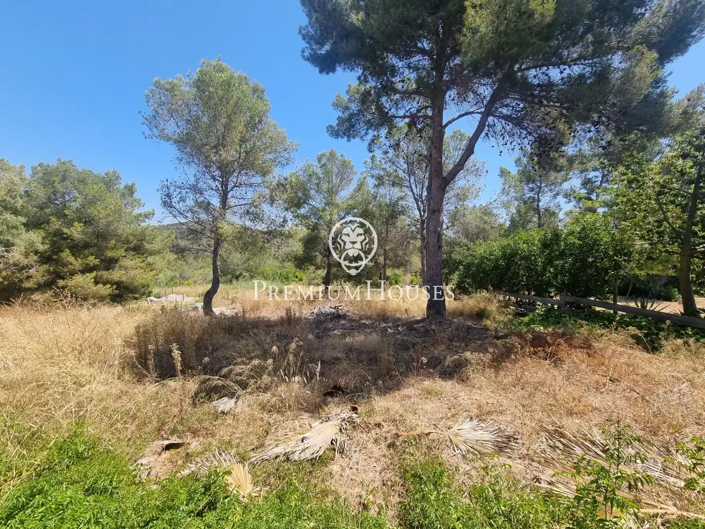 Terrain rustique à vendre à Vallpineda - Rocamar, imagen 7