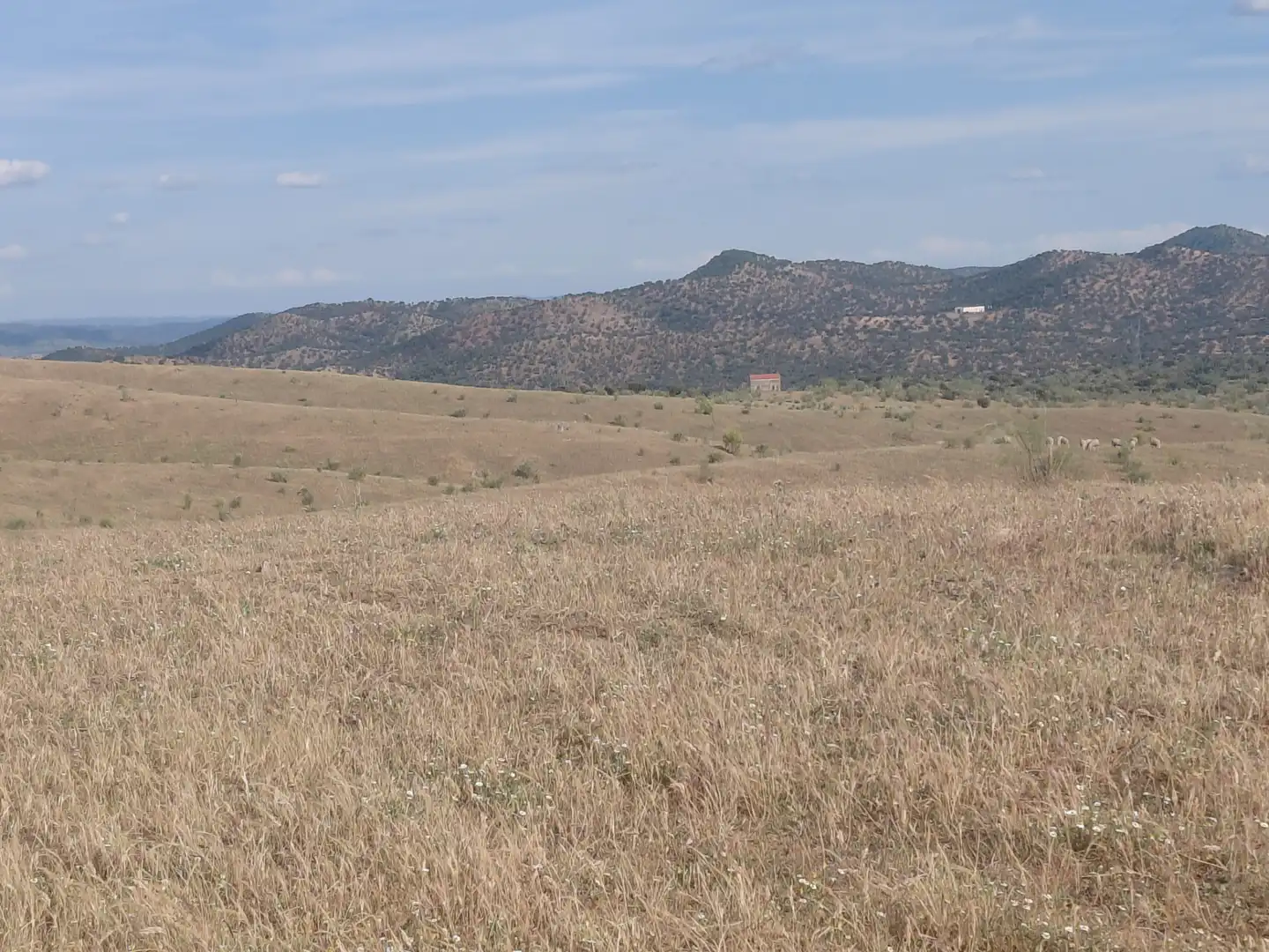 Finca rústica en venda en Fuente de Cantos amb Jardí privat, Forn i Rentadora