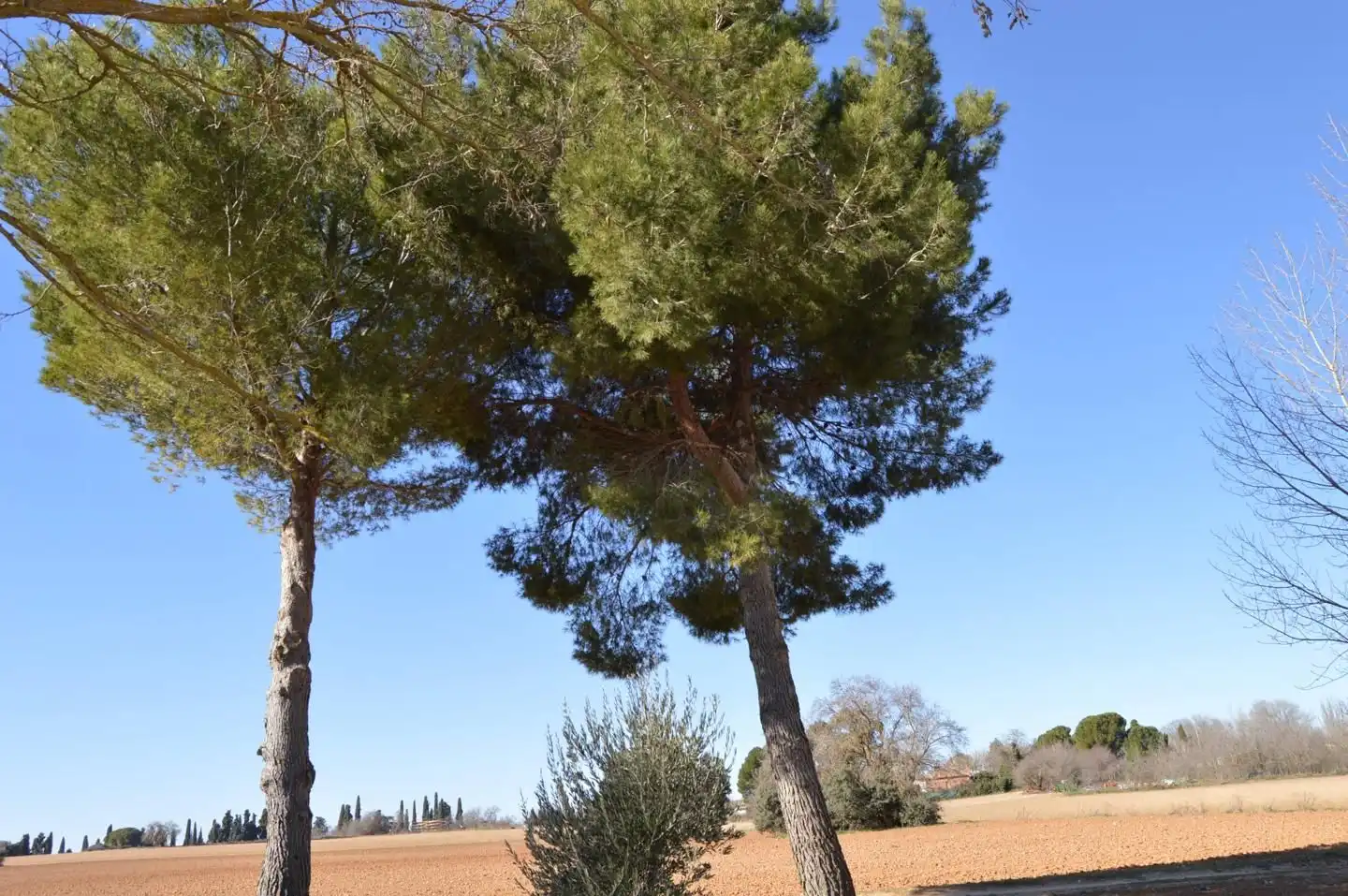 Terrenys i solars en venda a Tarancón, imagen 5