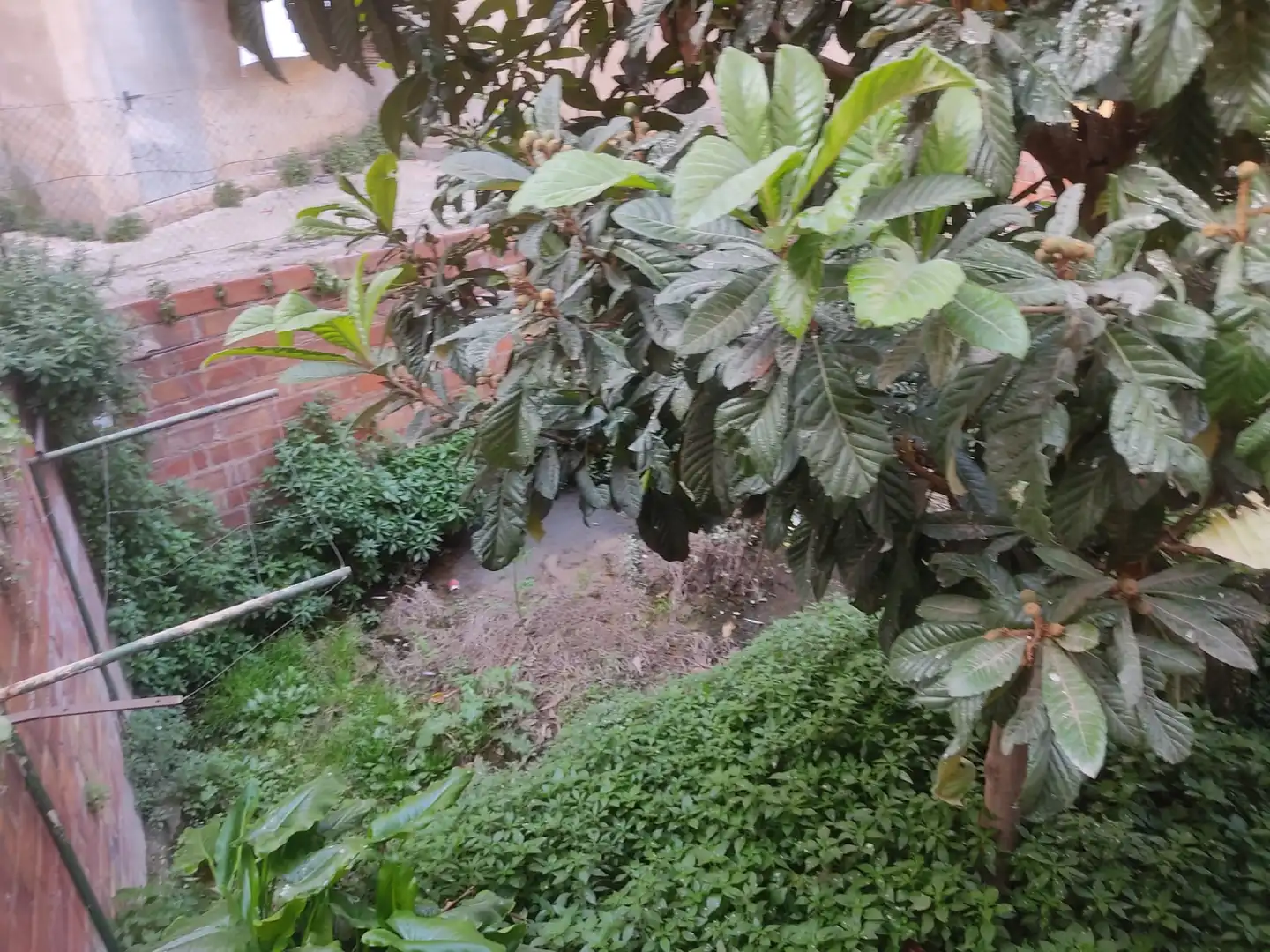 Adossat amb jardí en venda a Balàfia, imagen 17
