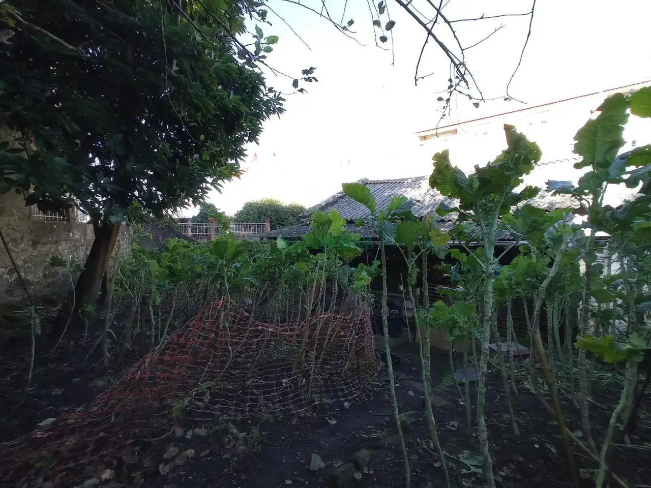 Residencial en venda en Redondela