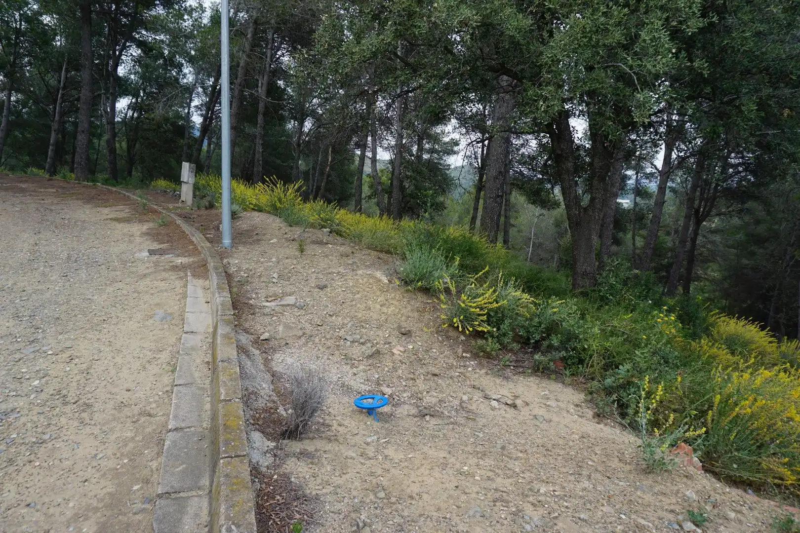 Terreno residenziale in vendita a Calle Ferreteries, imagen 21