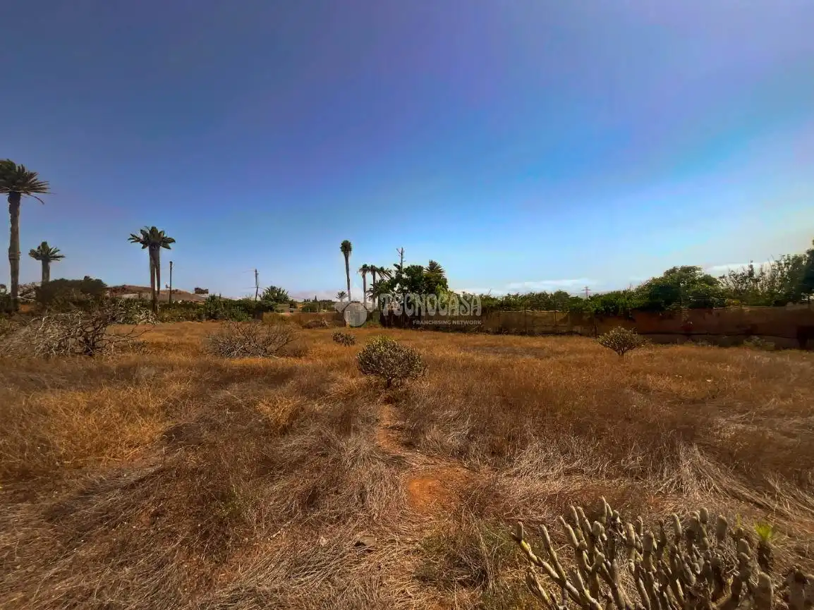 Rural land for sale in Ingenio pueblo, imagen 9