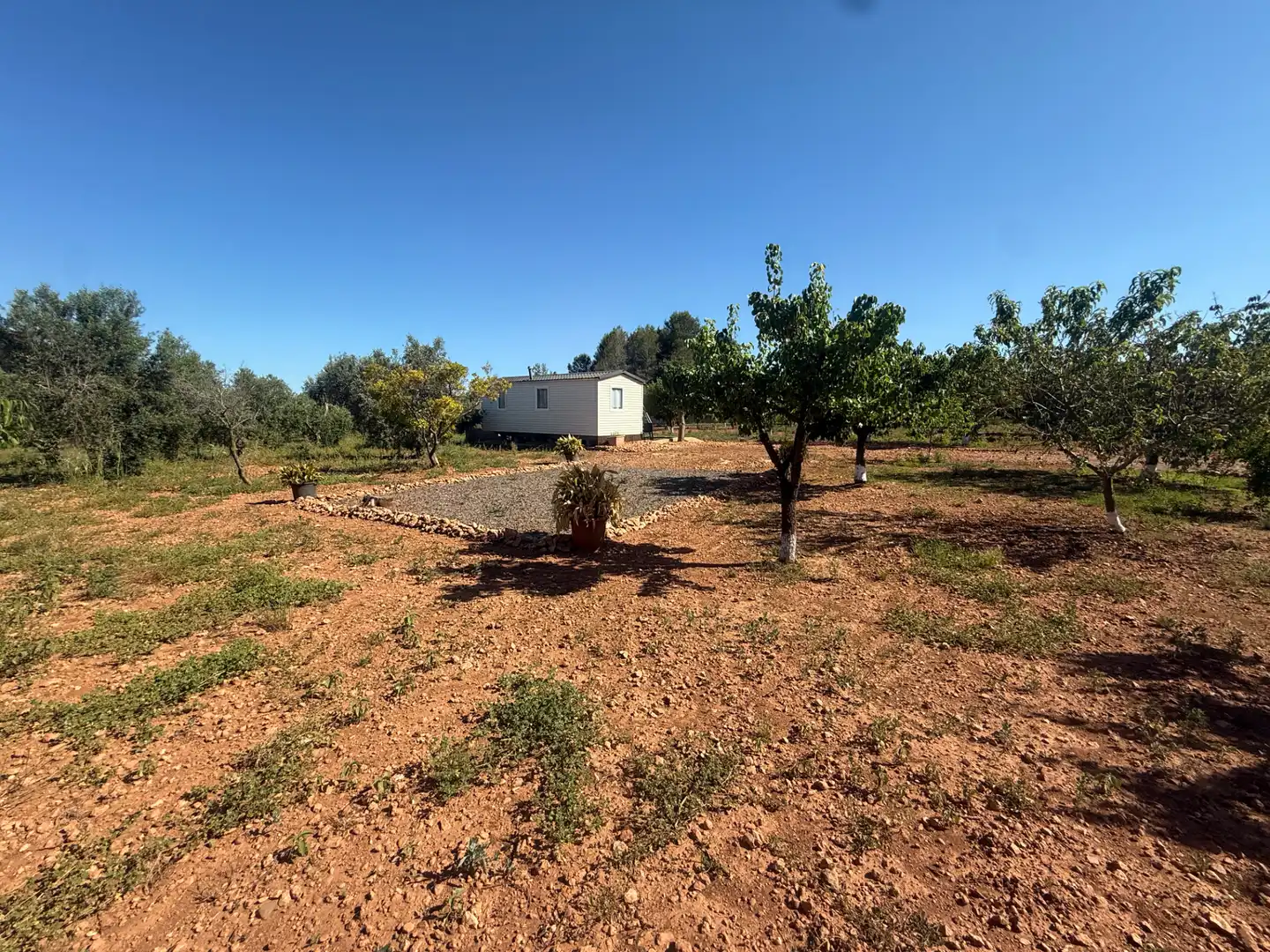 Casa o chalet en venta en Alcover con Parquet, Terraza y Piscina