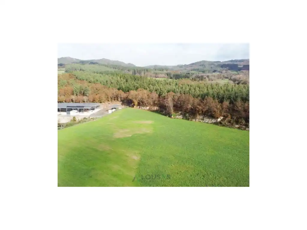 Houses for sale in Unnamed Road, Castroverde
