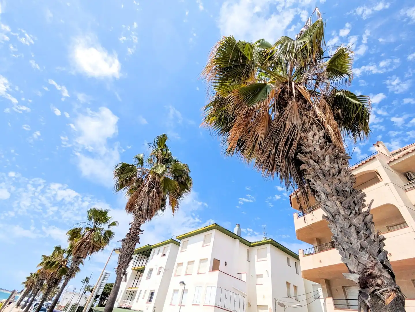 Vista exterior de Casa o chalet en venta en Alcanar con Balcón