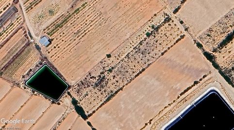 PARCELA DE REGADÍO CON POSIBILIDAD DE CONSTRUIR VIVIENDA, NAVE AGRÍCOLA., immagine 5