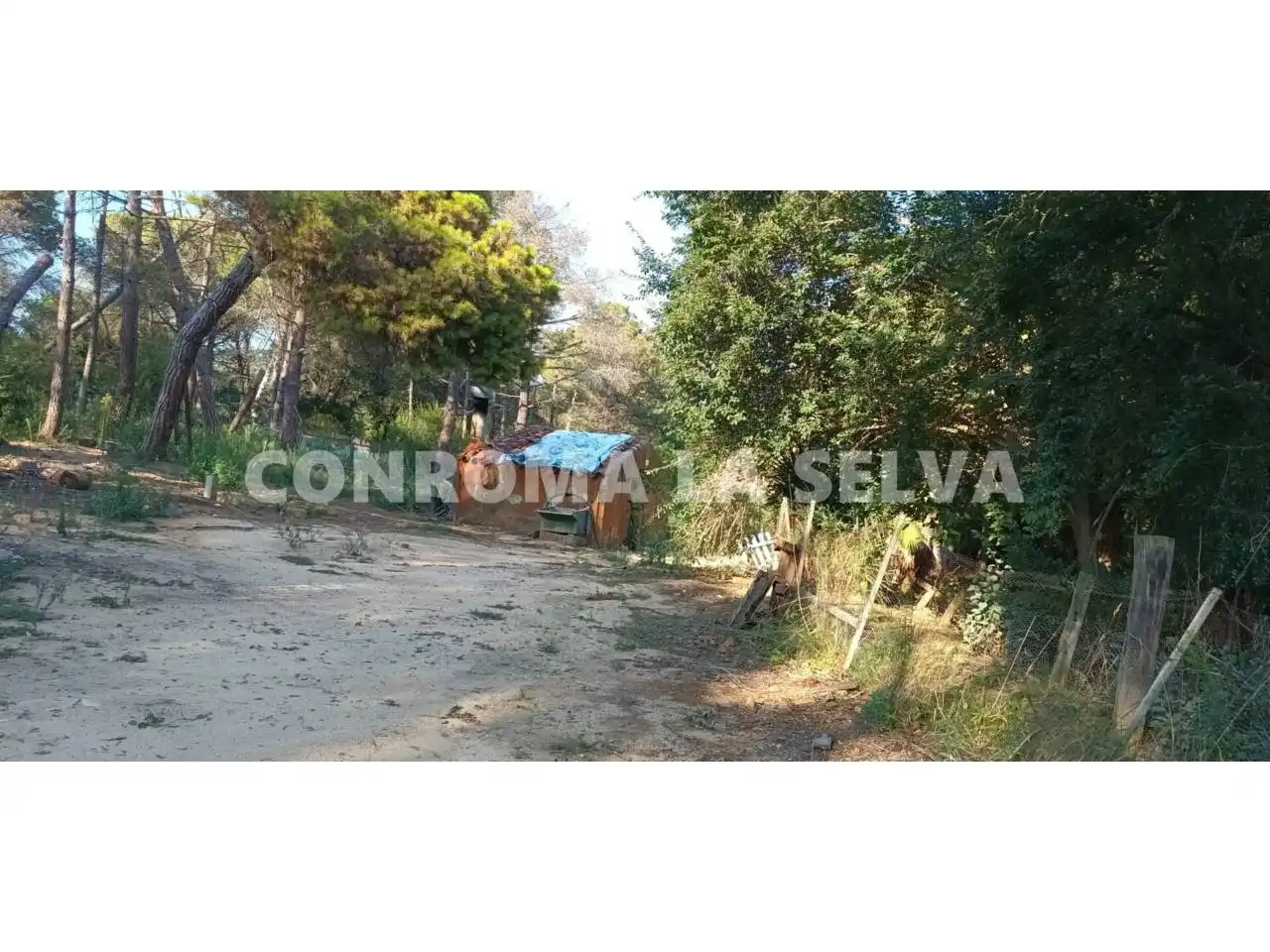 Terreno rustico in vendita a Mas Mora - Sant Daniel, imagen 5