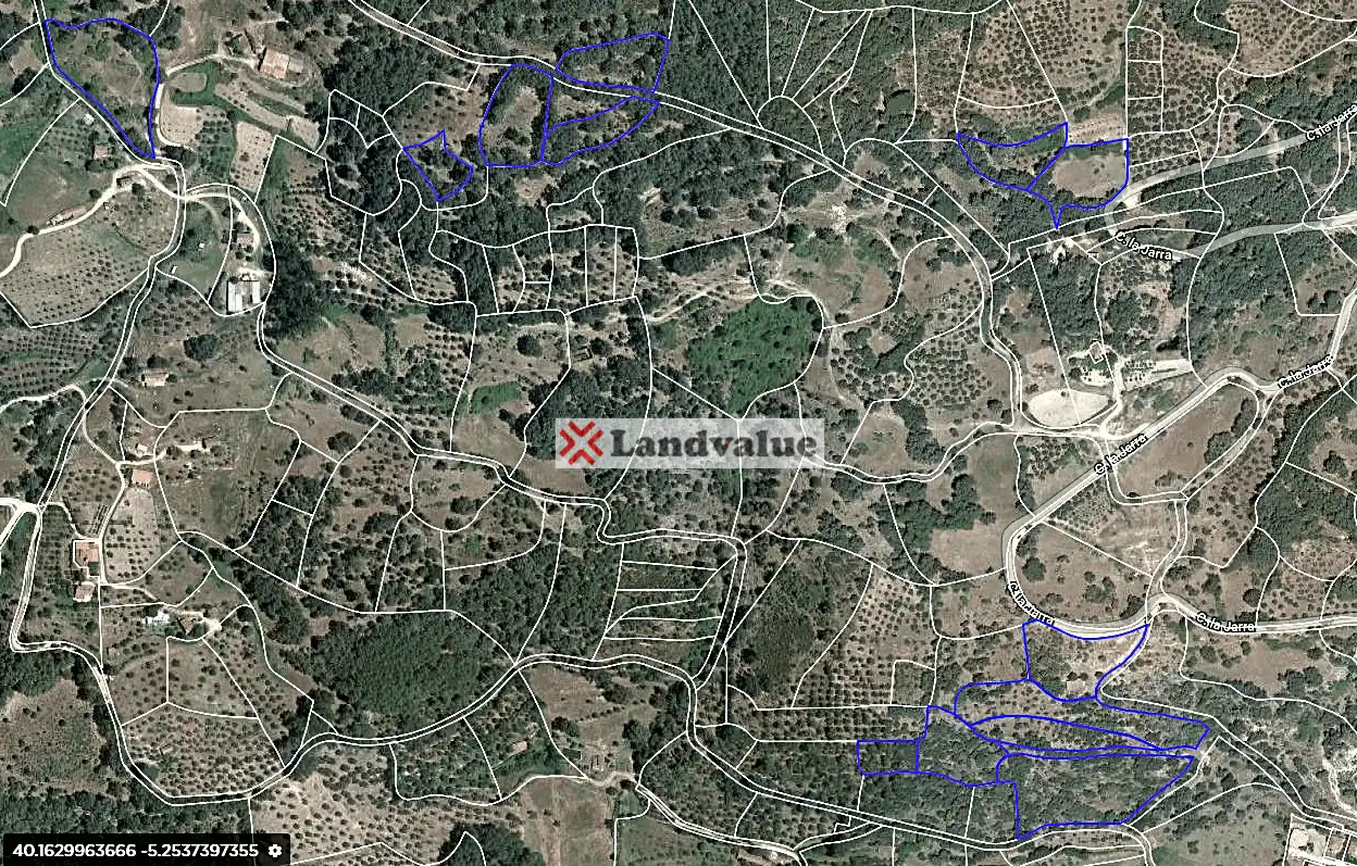 Terreni e lotti in vendita a Candeleda