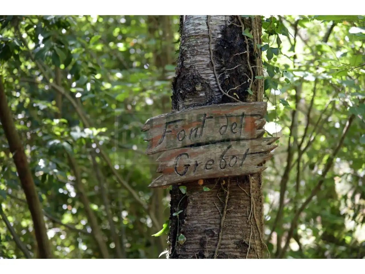 Finca rústica en venda en Tordera amb Calefacció i Piscina
