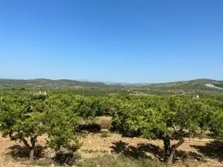 Terreno rustico in vendita a Alcalà de Xivert pueblo