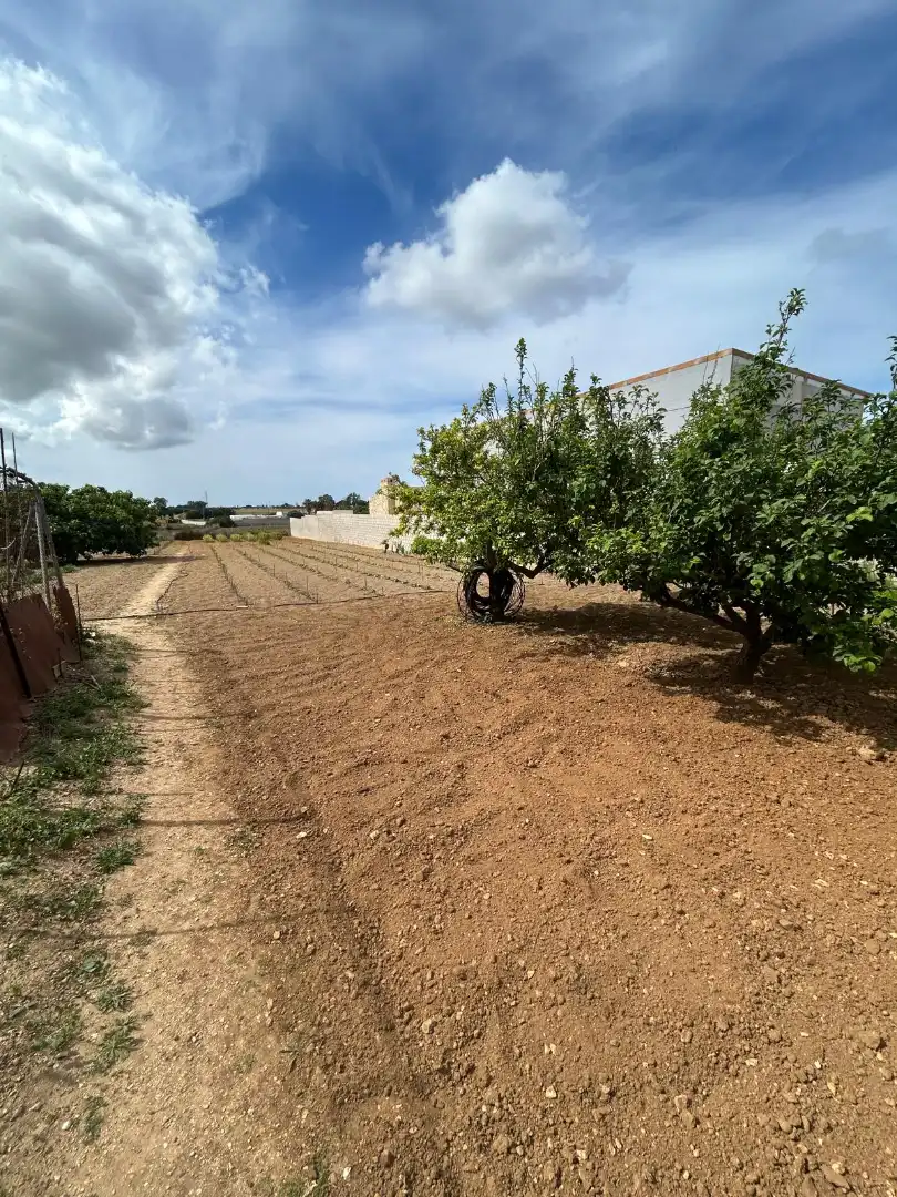 Houses for sale in Chiclana de la Frontera