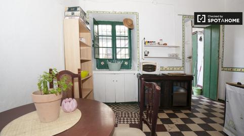 Photo 4 of Flat to share in San Gil, Sevilla