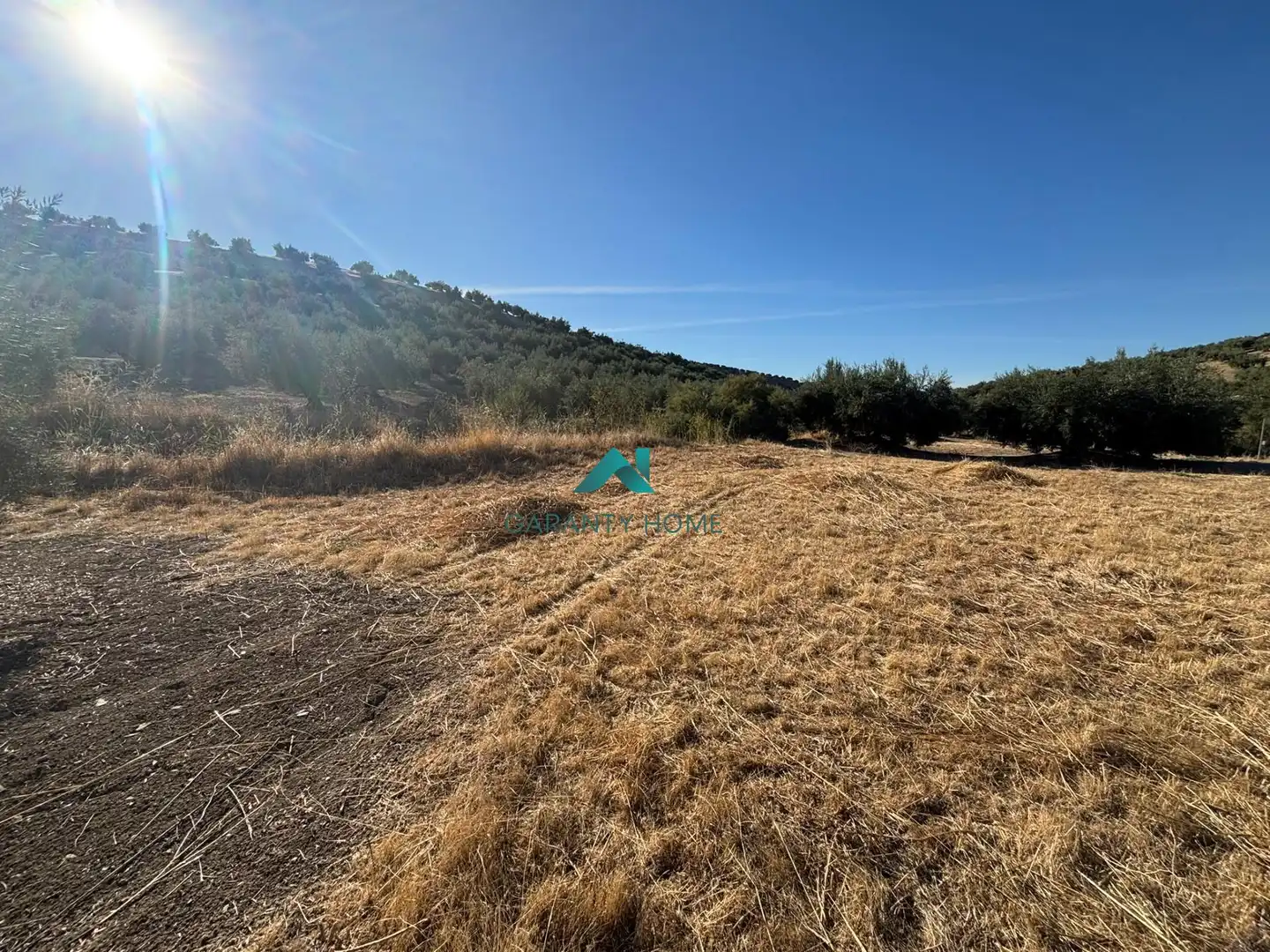 Terreno rústico en venta en Torredonjimeno, imagen 6