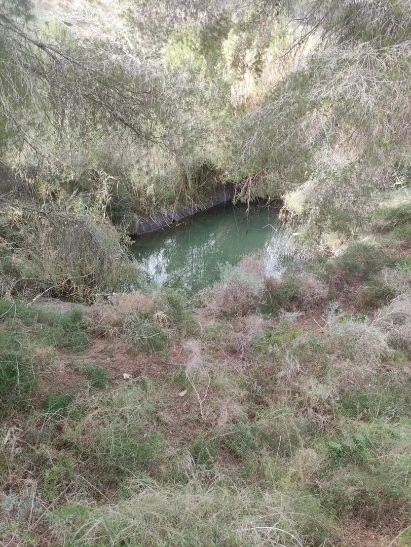 Terrenys i solars en venda a El Tossal - Bello Horizonte, imagen 3