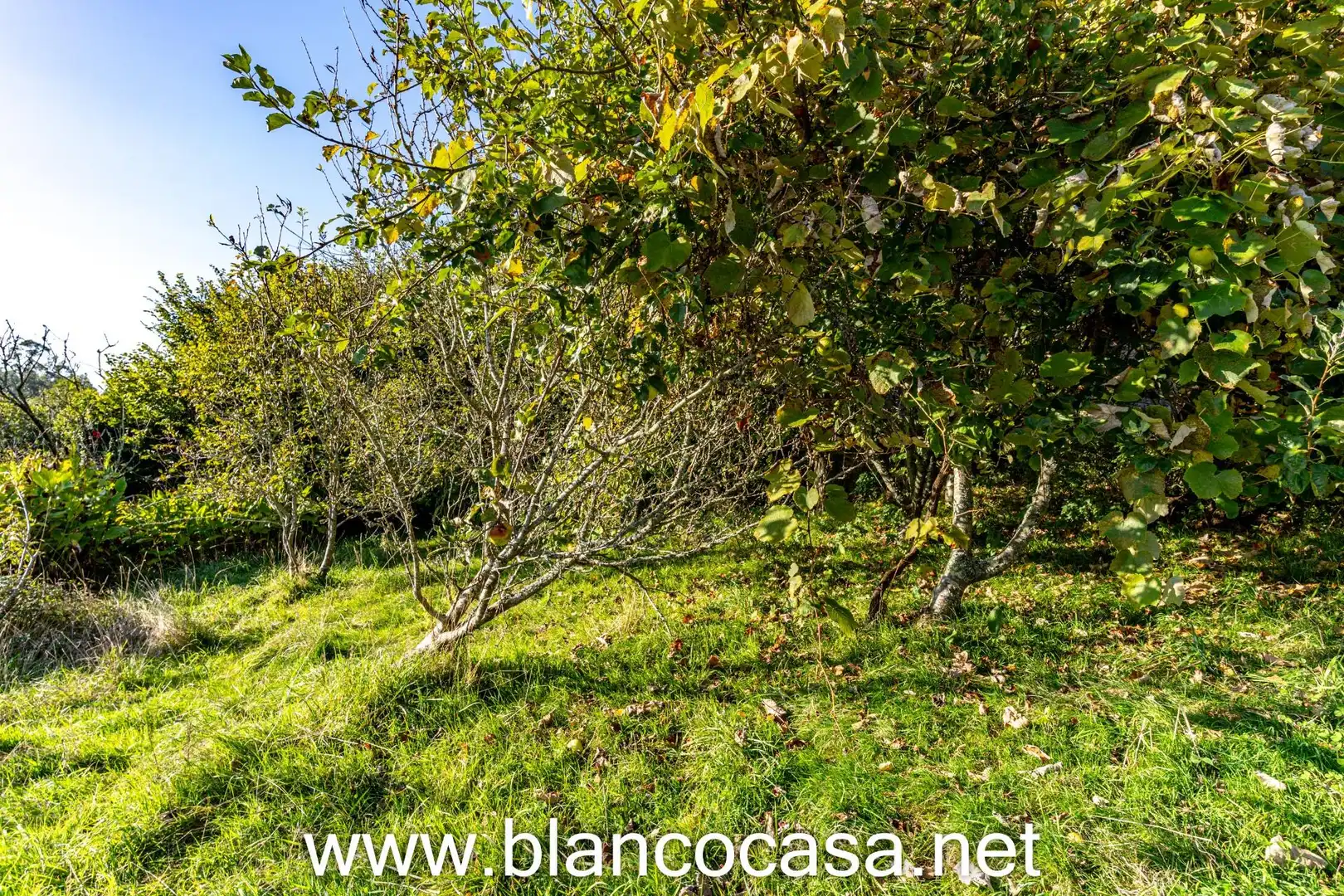 Casa con giardino in vendita a A Laracha, imagen 71