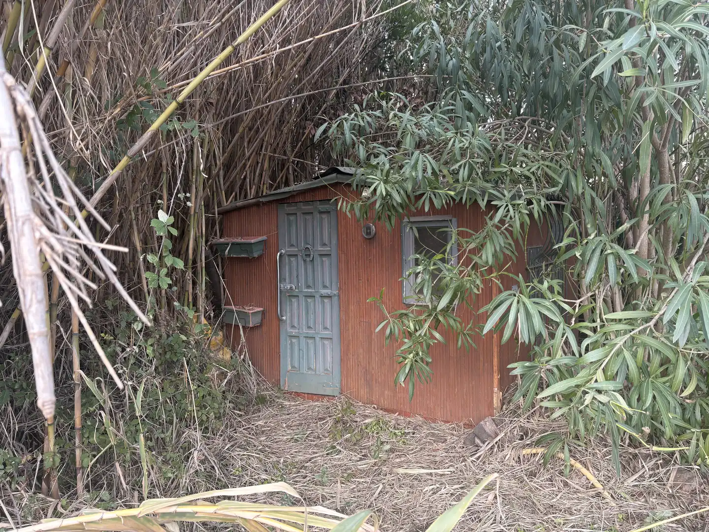 Exterior view of Land for sale in Llançà