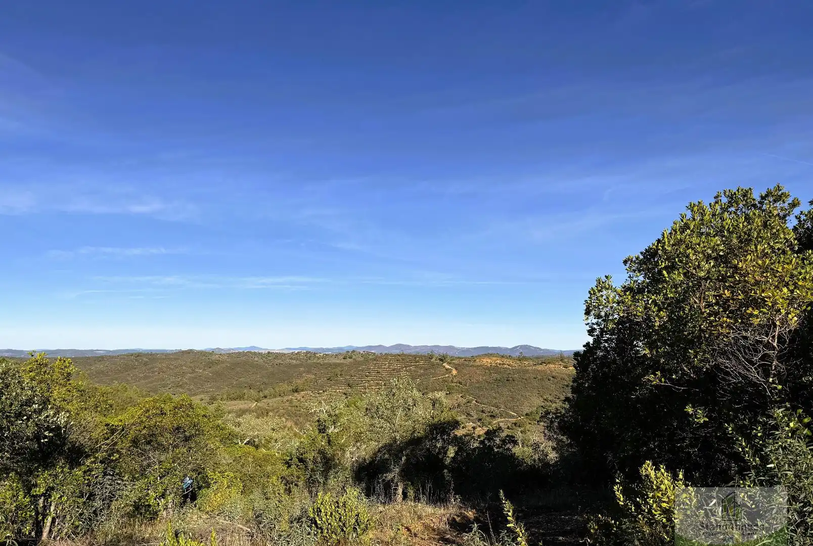 Finca rústica en venta en Berrocal