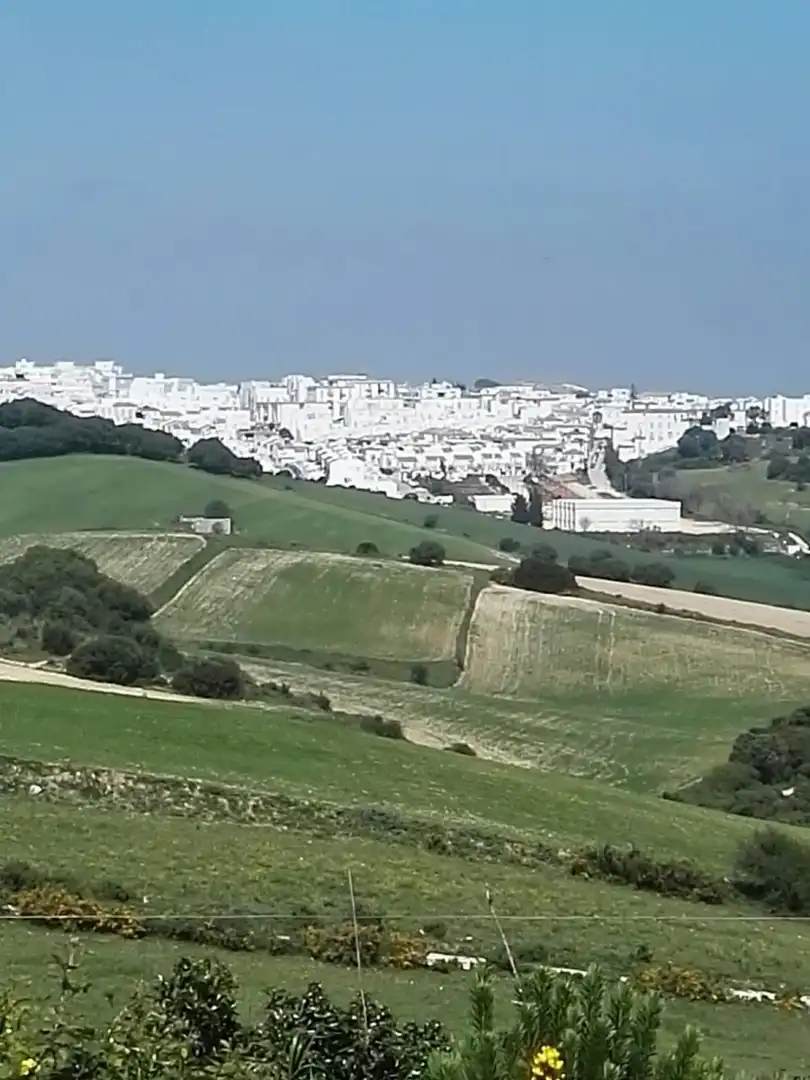 Terrain rustique à vendre à Vejer, imagen 3
