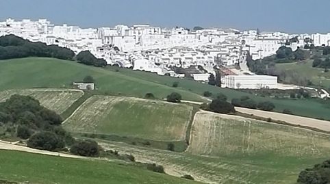 Finca Rúst. en venta en Nueva Zona, 3 dormitorios., imatge 3