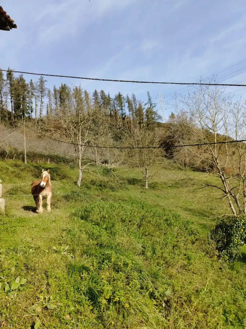 Casa rústica en venda a Tolosa, imagen 6