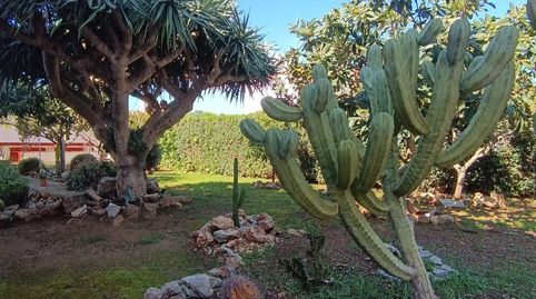 Foto 4 de Casa o chalet en venta en Son Vilar - Trepucó, Es Castell