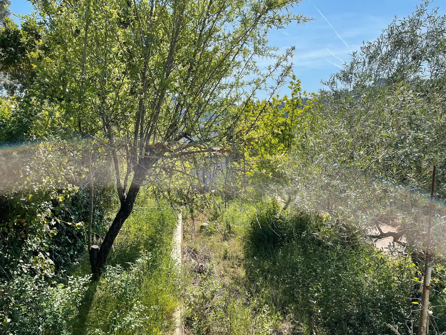 Residential land for sale in Carrer Raval Bassons 8, imagen 9